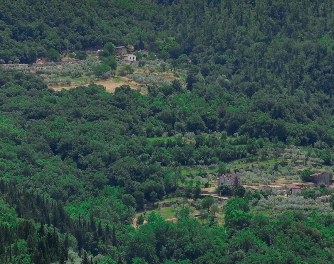 Villa Ancora Tenuta Lonciano Gualdo  Exteriér fotografie